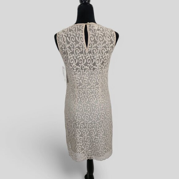 NWT Muse Boston Proper Double Layered Dress Size 6 - Picture 6 of 12